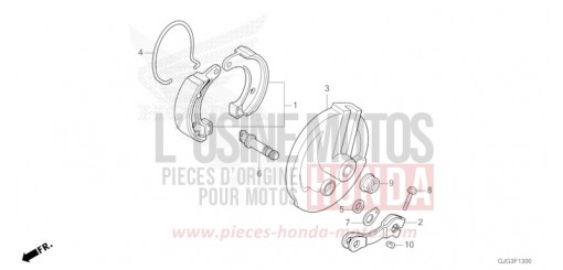 FRONT BRAKE PANEL CRF50FP de 2023